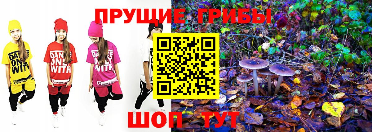 купить закладку  Псилоцибиновые грибы Cubensis  Галлюциногенные грибы Psilocybine cubensis  Вход с VPN  Шали 